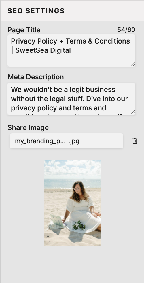showit page search engine optimization settings